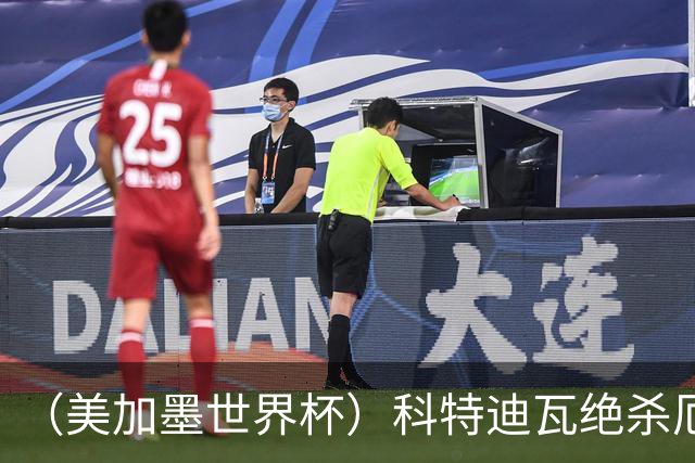 （美加墨世界杯）科特迪瓦绝杀厄瓜多尔 瑞典5:1大胜突尼斯
